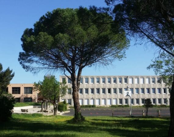 le_mourion